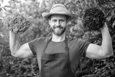 Hasır şapkalı, marul yapraklı güçlü manav..