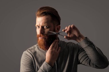 Berber makasıyla kuaförlük yapan sakallı adam. Kuaför stüdyosunda berber. Berber adam kuaförlük için makas tutuyor. Kuaförlük konsepti. Adam berber kuaförlüğü gri arka planda izole edilmiş.