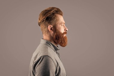 profile of bearded man with long beard isolated on grey background. studio shot of bearded man. beard care. handsome bearded man has beard.