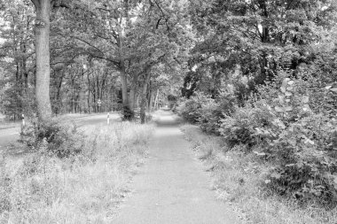 Boş yol ve doğal arka plan yolu manzaralı yürüyüş yolu.