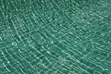 summer pool water background with nobody, bermudas. photo of summer pool water background. summer pool water background. summer pool water background with ripples.