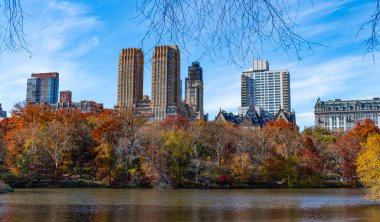 - New York. New York. Central Park Doğa Arazisi. Central Park 'ta sonbahar sezonu. Sonbahar mevsiminde mevsimlik şehir manzarası. Doğanın sonbahar güzelliği. Şehir parkında doğa. Parkta sonbahar manzarası
