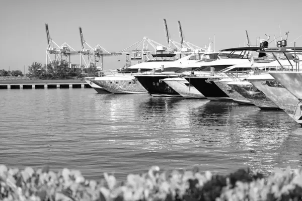 stock image Luxury motor yacht boats in sea port in South Beach, USA.