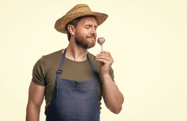 man in apron and hat smelling garlic vegetable isolated on white.