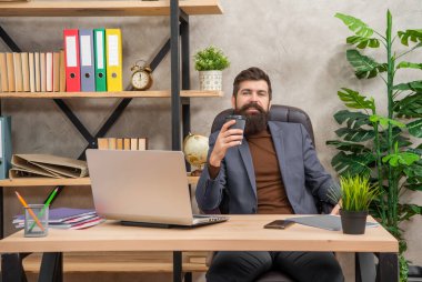 Güler yüzlü sakallı patron internette bilgisayarla çalışıyor ofiste kahve içiyor, iş eğitimi alıyor..