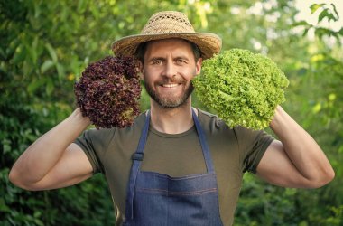 man greengrocer in straw hat with lettuce leaves. vegetarian.