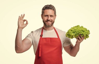 man in apron with lettuce vegetable isolated on white. ok.