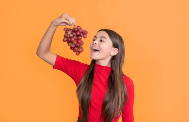 glad amazed kid hold bunch of grapes on yellow background.