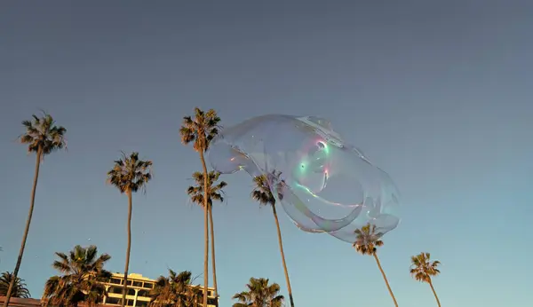 stock image soap bubble blower fly among palm trees in summer, summer.