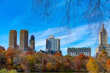 - New York. New York. Central Park Sonbahar manzarası. Doğa sonbahar manzarası. Central Park 'ta sonbahar sezonu. Sonbahar mevsiminde mevsimlik şehir manzarası. Doğanın sonbahar güzelliği. Şehir parkında doğa. Sonbahar şehir manzarası
