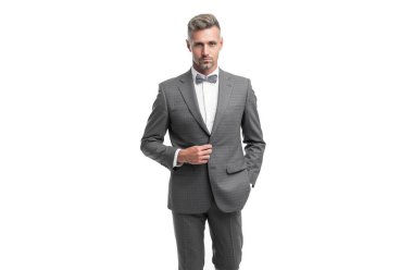 confident man bridegroom in blue rich tux bow isolated on white background.