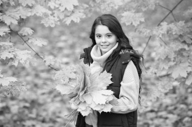 Sarı sonbahar yaprağını tutan genç kız. Dışarıda akçaağaç yaprağıyla gülümseyen bir çocuk. Sonbahar doğası. çocukluk mutluluğu. Doğal güzellik. Sonbahar sezonu modası.