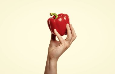 bright sweet pepper vegetable in hand isolated on white background.