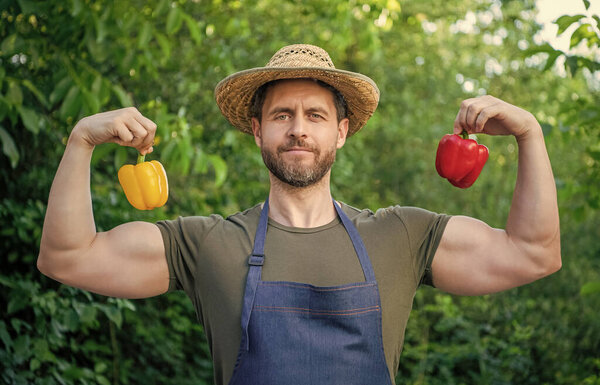 Крепкий мужчина в соломенной шляпе со сладким перцем.