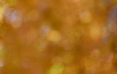 Sonbahar, doğanın odak noktasını kaybetti. Sonbahar yapraklarının bulanık arkaplanı. Odaklanamayan renkli mevsim. Bokeh sonbahar yaprakları. Arka planda bulanık turuncu renk. Sonbahar doğası. Bulanık arka plan. Bokeh etkisi.