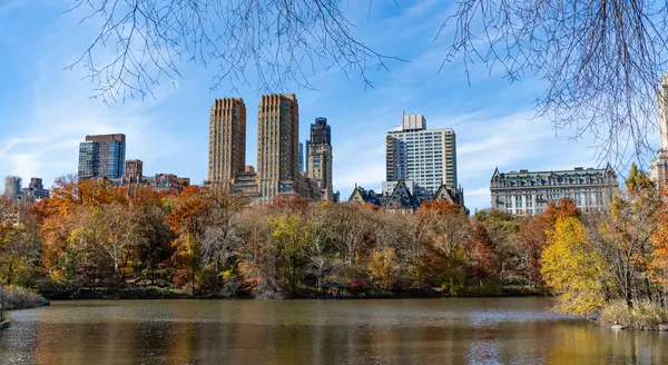 - New York. New York. Central Park 'ta. Doğanın sonbahar güzelliği. Şehir parkında doğa. Parkta sonbahar manzarası. Sonbahar manzarası. Doğa sonbahar manzarası. Central Park 'ta sonbahar sezonu. Mevsimlik şehir manzarası