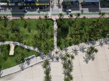 Miami şehir merkezi, Florida, ABD 'de sokak yolu olan Miami güney sahili palmiye ağacı bölgesi..