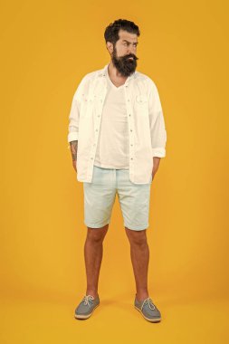 Sarıda soyutlanmış şık bir adam. Stüdyoda şık bir adam. Arka planda şık bir adam. Sakallı şık bir adamın fotoğrafı..