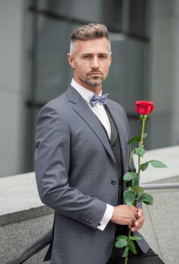 Sevgililer Günü konsepti. Sevgililer günü gülü olan smokinli adam. Sevgililer Günü için çiçek hediyesi.