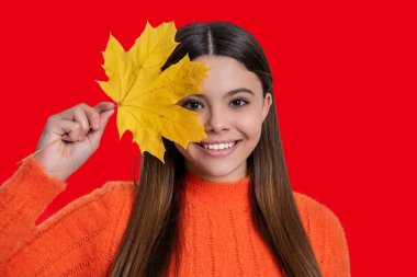 Moda ve şık genç kız gülümsüyor. Gençler için sonbahar moda tarzı. Düşmüş akçaağaç yaprakları. Sonbahar modası. Sonbahar tarzında bir kız. Genç kız akçaağaç yaprağı tutuyor. Sonbahar moda kızı. Canlı renkler.
