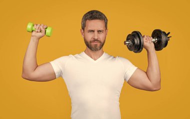 Stüdyoda dambılla güçlü bir sporcu eğitimi. Dambılı tişörtlü güçlü bir sporcu eğitimi. Dambıllı güçlü bir sporcu eğitimi. Sarı halterli güçlü sporcu eğitimi.