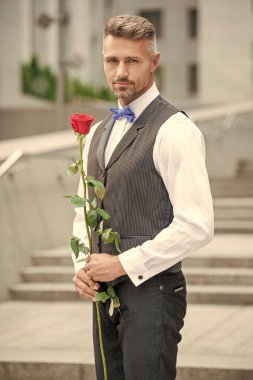 Sevgililer Günü konsepti. Sevgililer günü gülü olan smokinli adam. Sevgililer Günü için çiçek hediyesi.
