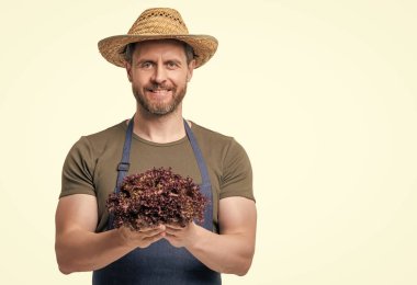 Önlüklü ve şapkalı bir adam marul sebzeli beyaz üzerine izole edilmiş Cpy Space.