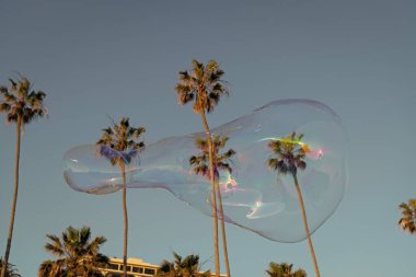 soap bubble blower fly in sky among palm trees in summer , summer vacation. clipart