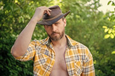 Adam kovboy şapkası tutuyor. Kareli gömlekli seksi adam. Batılı adam şapka takıyor.