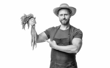 Önlüklü, şapkalı, havuçlu, beyaz tenli bir adam. işaret parmağı.