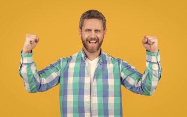 Gündelik giyinen beyaz bir adam. Sarı arka planda, günlük gömlekli, sakallı, beyaz bir adam. Stüdyoda sıradan bir beyaz adam var. Beyaz adamın fotoğrafı. Kareli gömlek giy..