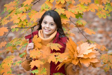 Mutlu çocuk sonbahar akçaağaç yaprağını dışarıda tut, doğa..
