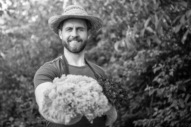 man greengrocer in straw hat with lettuce leaves. selective focus and copy space.