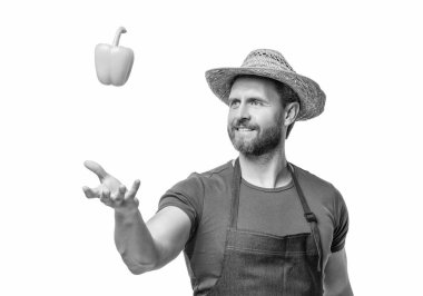 farmer in apron and hat with sweet pepper vegetable isolated on white.