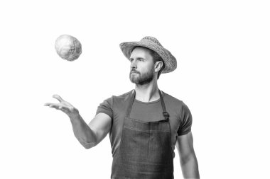 farmer in apron and hat with cabbage vegetable isolated on white.