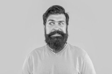 Kafası karışmış sakallı adamın portresi. Sarıda izole edilmiş sakallı adamın portresi. Stüdyodaki sakallı adamın portresi. Arka planda sakallı adamın portresi var..