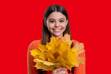 Sonbaharda düşen akçaağaç yaprakları. Sonbahar kızı şık görünüyor. Sonbahar sezonu. Sonbahar sonbahar tarzında bir kız. Kırmızıda izole edilmiş sonbahar modunda yeniyetme modunda. Sonbahar akçaağaç yaprakları. Mevsimsel değişim.