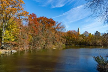 - New York. New York. Sonbaharda Central Park mevsimlik resim sahnesi. Sonbahar sezonu. Sonbahar havuzu. Şehir parkında doğa. Park 'ta sonbahar gölü. Sonbahar manzarası. Doğa sonbahar manzarası. Sonbahar sezonu