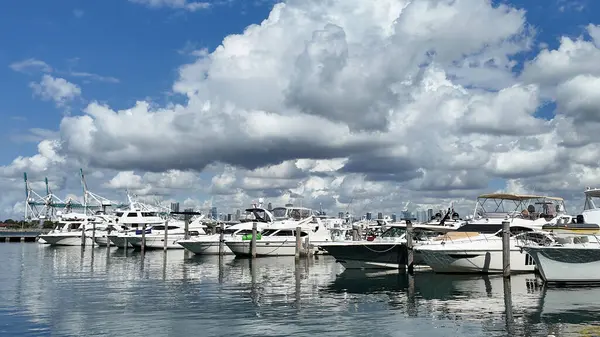 Yaz tekne tatili. Miami yat turu. Yazın yat tatili. Marina körfezi. Deniz marinasında lüks bir karavan yatı. Navigasyon yatı. Miami sahiline demir atmış özel lüks bir tekne. Yat tatili.