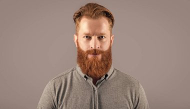 barber beard care. handsome unshaven man has beard. unshaven man with long beard isolated on grey background. studio shot of unshaven man.