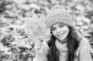 Sarı şapkalı mutlu çocuk Akçaağaç yaprağını parkta, sonbaharda tutuyor..