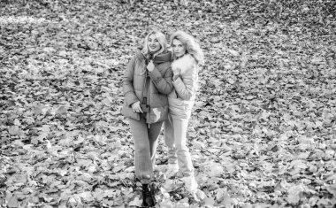 Uzun kıvırcık sarı saçlı güzel kadınlar ormanda yaprakları dökülmüş sonbahar kabanı giyerler, arkadaşlık..