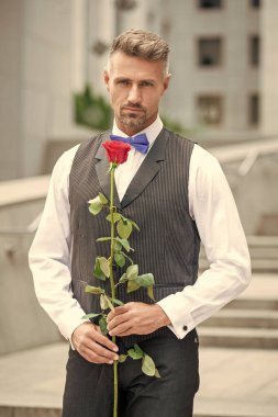 Aşk günü konsepti. Aşk gülü ile boz smokin giyen adam. Aşk günü için çiçek hediyesi..