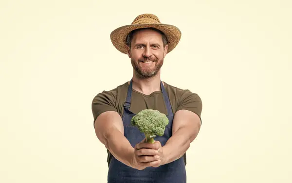 Stock image harvester in apron and hat with broccoli vegetable isolated on white.