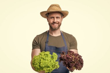 Önlüklü ve şapkalı çiftçi marullu sebzeleri beyaz üzerine izole eder..