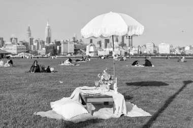 Central Park 'ta yaz pikniği. Manhattan 'da romantik bir randevu. New York 'ta piknik. Açık hava romantizmi. Yazın romantik piknik. lüks piknik yemeği.