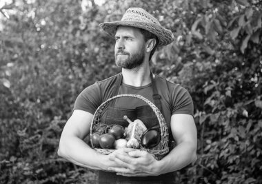 harvester in straw hat hold basket full of vegetables.