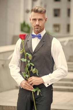 Aşk günü konsepti. Aşk güllü beyaz smokinli adam. Aşk günü için çiçek hediyesi..