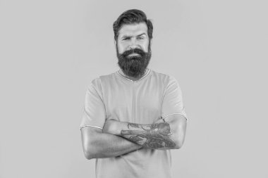 Arka planda ciddi sakallı bir adamın portresi. Sakallı adamın portresi. Sarıda izole edilmiş sakallı adamın portresi. Stüdyodaki sakallı adamın portresi..