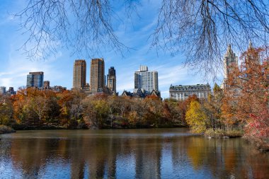 Sonbahar manzarası. Doğa sonbahar manzarası. Central Park 'ta sonbahar sezonu. Sonbahar mevsiminde mevsimlik şehir manzarası. Doğanın sonbahar güzelliği. Şehir parkında doğa. Parkta sonbahar manzarası. Piknik noktaları.